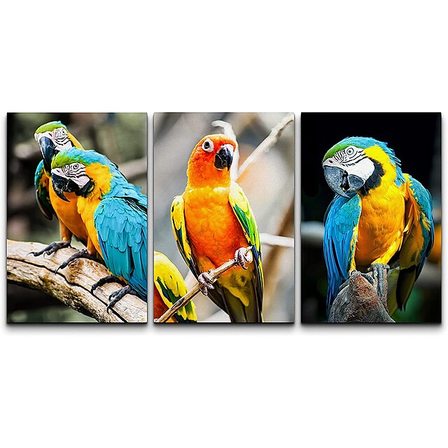 

3 Panels Wall Art Canvas Prints Painting Artwork Picture Canvas Wall Art Parrot Painting Modern Home Decoration Decor Rolled Canvas No Frame Unframed Unstretched