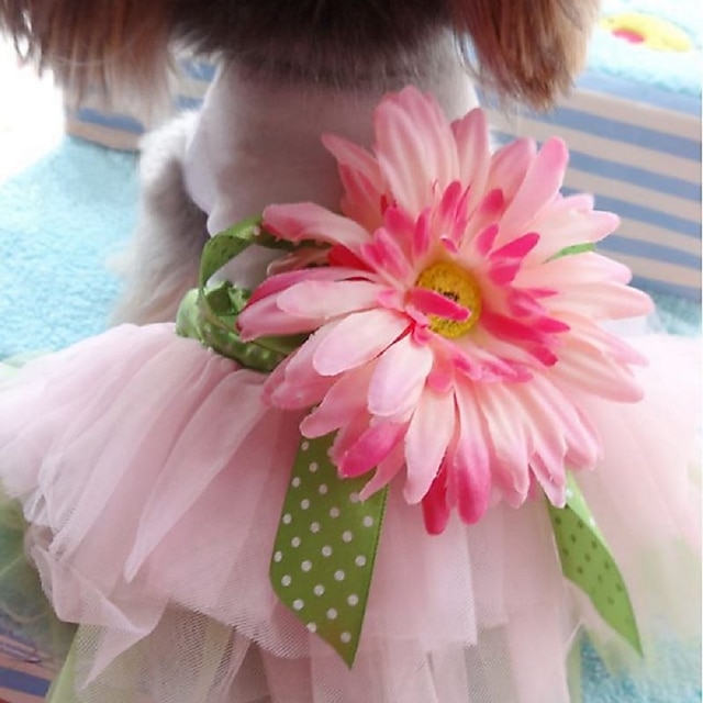  قط كلب الفساتين وردة تنورة توتو حفل / مساء مناسب للبس اليومي ملابس الكلاب ملابس الجرو ملابس الكلب أبيض زهري كوستيوم للفتاة والفتى الكلب S M L XL XXL