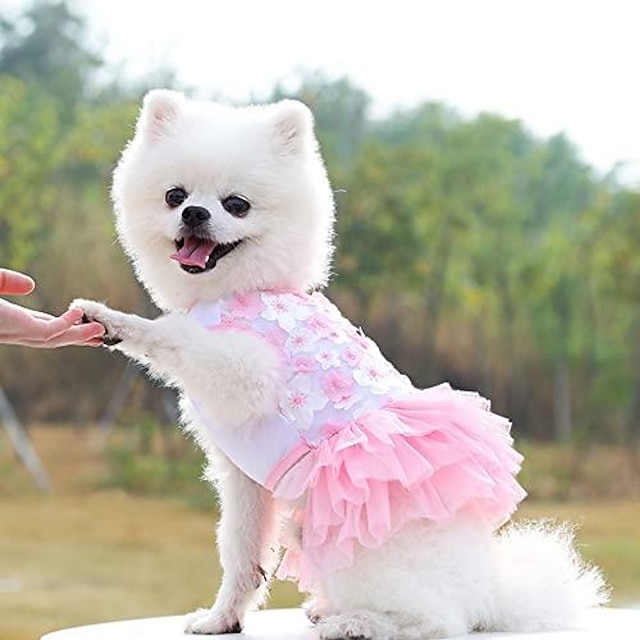  チワワ犬のドレス、夏のかわいい女性の子犬のドレス、余分な小さな女の子の犬のピンクの服、ヨーキーティーカップのペットの犬の衣装、花のサンドレス、小さな犬のスカートの猫の服xxs〜s（xx-small）