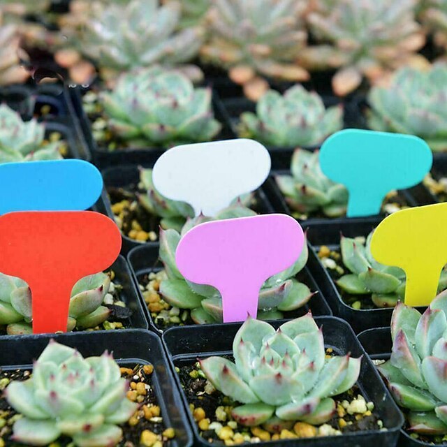 10Pcs Plant Tag Label Plastic Nursery Garden Flower Thick Marker Yard Accessory 