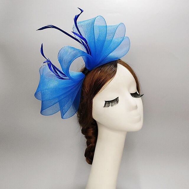 Fascinators Kentucky Derby Hat Feathers Net Ladies Day Melbourne Cup 