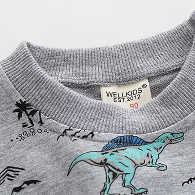 Baby & Kids Boys Clothing | Kids Boys Sweatshirt Long Sleeve Cartoon Dinosaur Gray Children Tops Fall Winter Active Cool Daily O