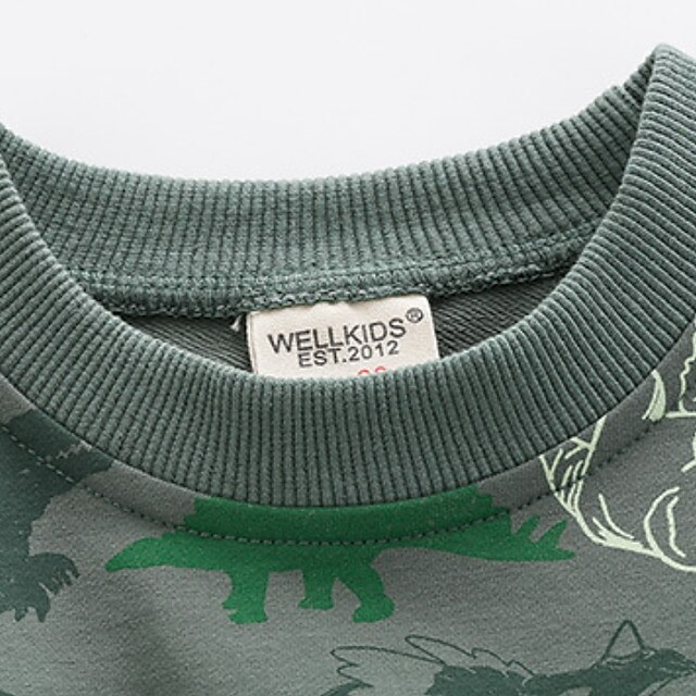 Baby & Kids Boys Clothing | Kids Boys Sweatshirt Long Sleeve Cartoon Dinosaur Animal Green Children Tops Fall Winter Active Cool