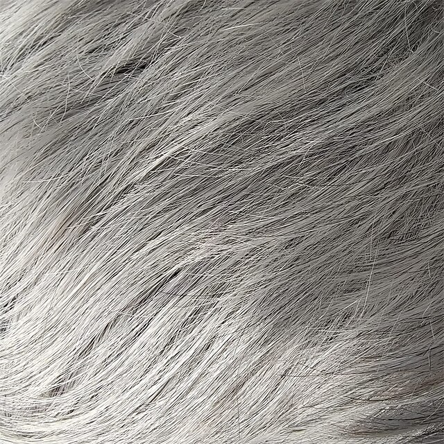 Mens Grey Wigs Realistic Short Fluffy Layered Natural Looking Wig Mens Short Wig Straight Silver
