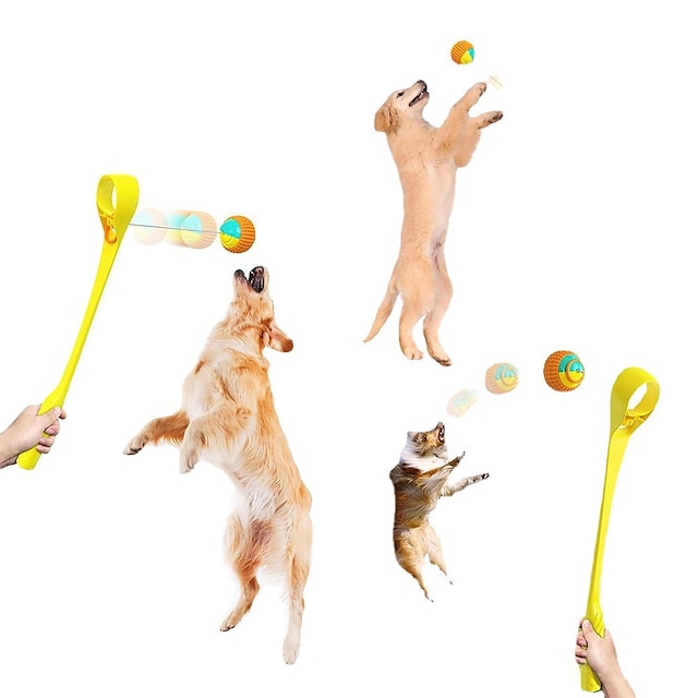  Jouet pour chien lancer club formation en plein air interactif chien marche jouet lancer balle artefact fournitures pour animaux de compagnie