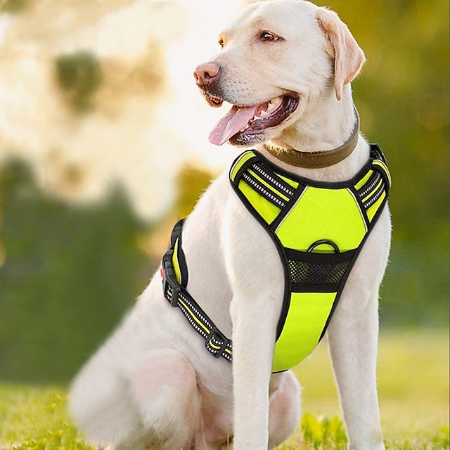  No Pull Dog Harnesses for Small Dogs Reflective Adjustable Front Clip Vest with Handle 2 Metal Rings 3 Buckles [Easy to Put on & Take Off