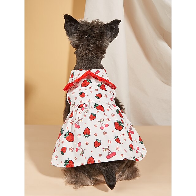 Dog Cat Dress Flower / Floral Holiday Birthday Dog Clothes Puppy ...