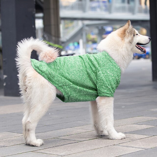 Dog Cat Sweatshirt Fashion Cute Winter Warm Breathable Soft Washable Comfortable Outdoor Casual Daily Dog Clothing for Bichon Frise Pomeranian Baby Pet Papillon Small3