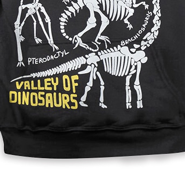 Baby & Kids Boys Clothing | Kids Boys Hoodie Long Sleeve 3D Print Dinosaur Letter Animal Pocket Dark Gray Children Tops Fall Spr