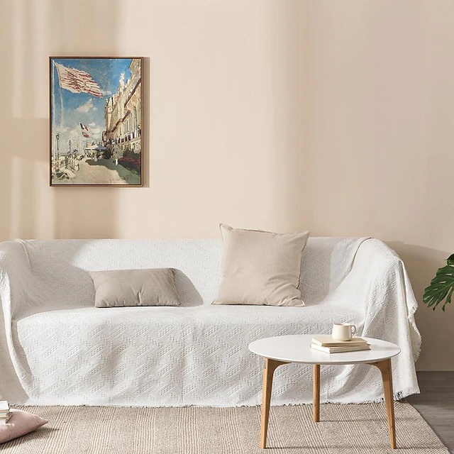 Anti-Scratch Cat Sofa Blanket Sofa Slipcover,Soft Bedding Blankets ,Furniture Protector from Pet Scratch, Premium Fluffy Blankets Throw Dog Bed 13