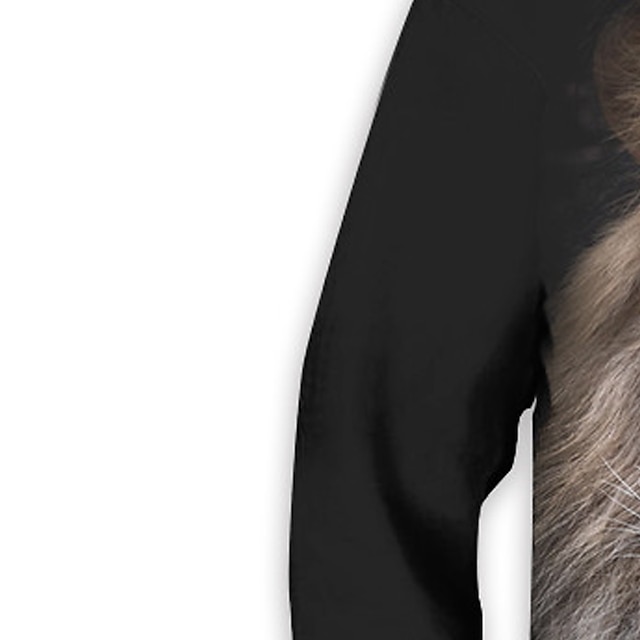 Baby & Kids Boys Clothing | Kids Boys Hoodie Long Sleeve 3D Print Lion Animal Pocket Black Children Tops Fall Spring Active Fash