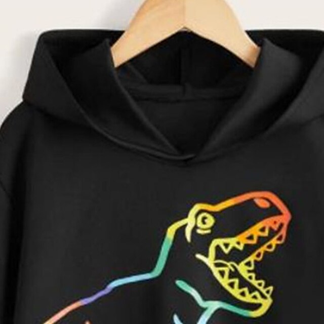 Baby & Kids Boys Clothing | Kids Boys Hoodie Long Sleeve 3D Print Dinosaur Animal Pocket Black Children Tops Fall Spring Active 