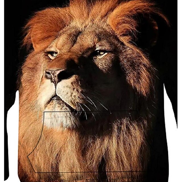 Baby & Kids Boys Clothing | Kids Unisex Hoodie Long Sleeve 3D Print Graphic Patterned Lion Animal Pocket Black Children Tops Fal