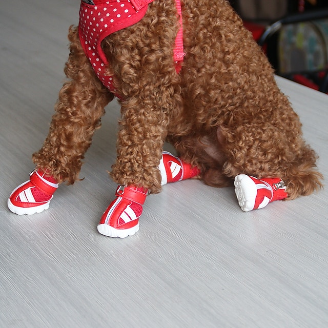  2019 New Puppy Dog Shoes Teddy Bear Pet Shoes Fashion Casual Dog Boots Small Dog Shoes