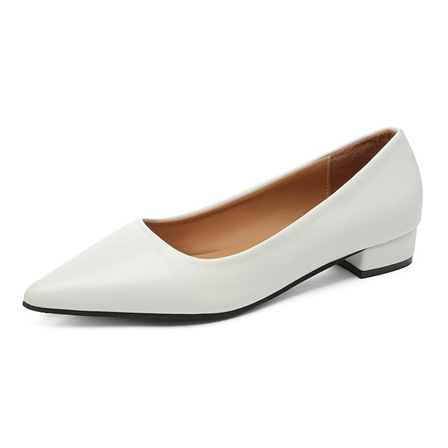 Women's Flats Dress Shoes Office Work Daily Summer Low Heel Pointed Toe