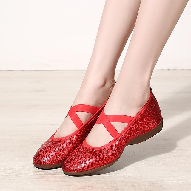 Women's Ballet Shoes Ballroom Shoes Modern Shoes Professional Outdoor ...