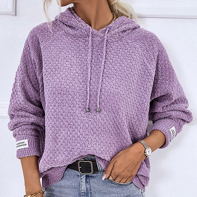  Women's Pullover Sweater Jumper Crochet Knit Knitted Hooded Pure Color Daily Holiday Stylish Casual Fall Winter White Blue S M L / Long Sleeve