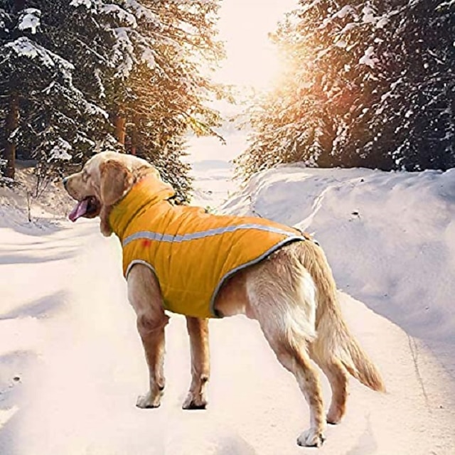 Waterproof Dog Coat Winter Warm Jacket with Strap Hole Outdoor Sport ...