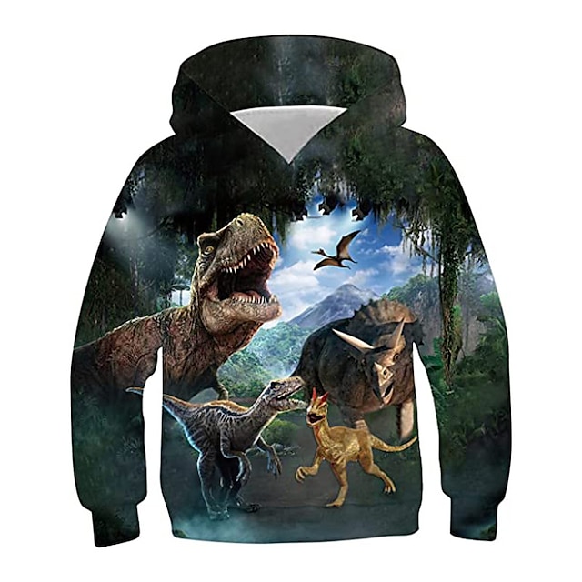  Boys 3D Animal Dinosaur Hoodie Long Sleeve 3D Print Fall Winter Active Sports Fashion Polyester Kids 3-13 Years Outdoor Daily Indoor Regular Fit