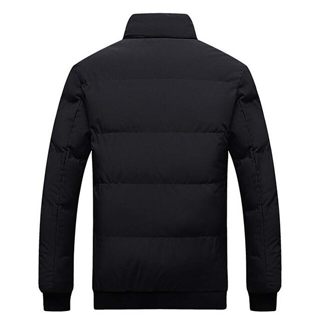Men's Winter Coat Winter Jacket Puffer Jacket Cardigan Pocket Zipper
