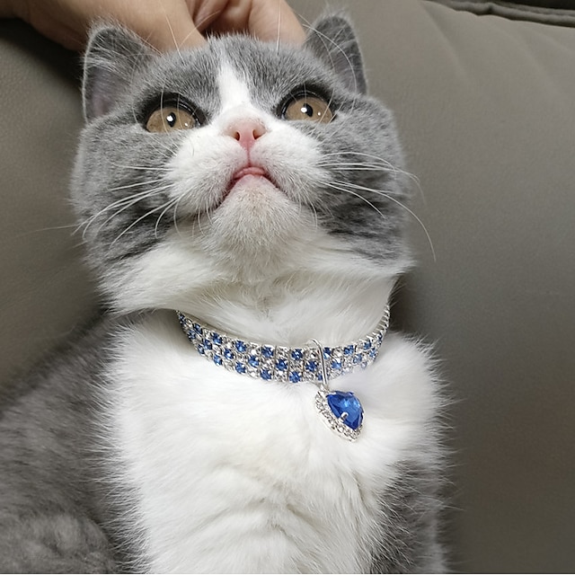  2 sztuk perły diament pet kot pies naszyjnik obroża biżuteria z bling dżetów dla zwierząt domowych koty małe psy kobieta szczeniak chihuahua yorkies dziewczyna kostium stroje regulowane