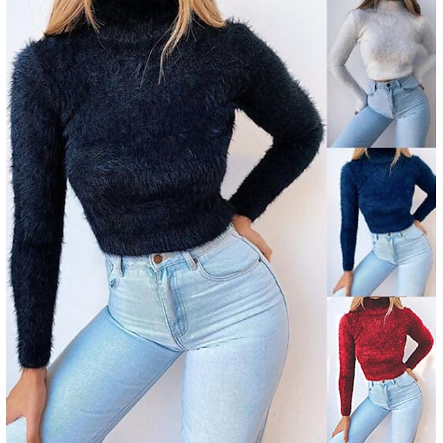  Women's Blouse Shirt Black Blue Red Plain Casual Daily Long Sleeve High Neck Basic Fleece Crop Fleece lined S