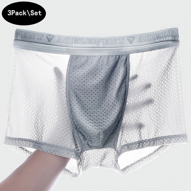 Men's 3 Pack Boxer Briefs Underwear Basic Panties Boxers Underwear Mesh ...