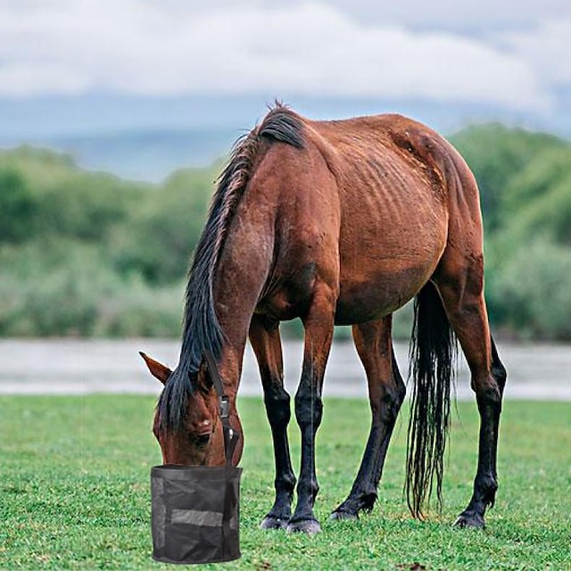  Мешок для корма для лошадей Мешок для корма для лошадей Регулируемый мешок для кормления Предотвращение просыпания Мешок для кормления из сетки для медленной еды