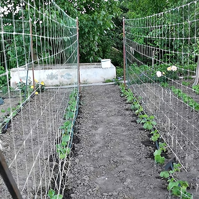  növényi rácsháló, nagy teherbírású poliészter háló, négyzethálós kerti rácsháló mászónövények, zöldségek, gyümölcsök és virágok számára