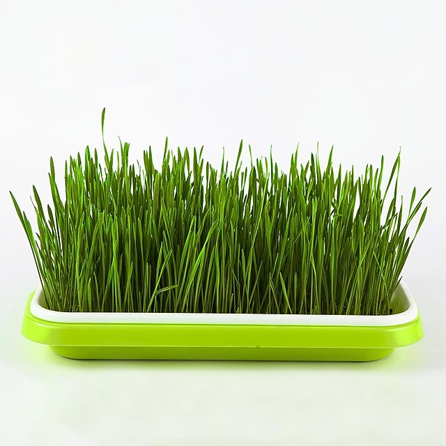 Seed Sprouter Tray, BPA Free PP Soil-Free Big Capacity Healthy Wheatgrass Grower Sprouting Container Kit For Garden Home Office2