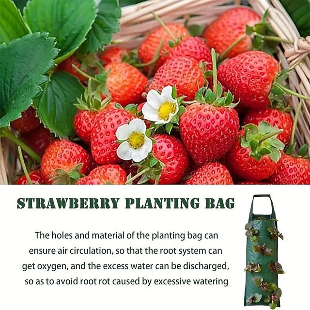 Hanging Strawberry Grow Bag, Strawberry Grow Bag With 8 Holes For Strawberry Tomato And Pepper