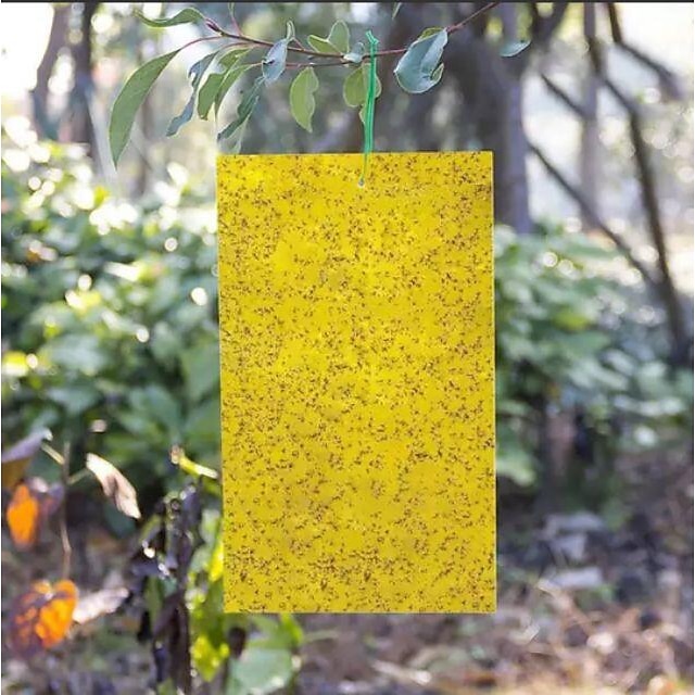  20 stk fruktfluefelle stickyworm board drivhus gul bord dobbeltsidig liten svart fluefelle gul og blå felle brett landbrukshusholdning trips 20*15cm