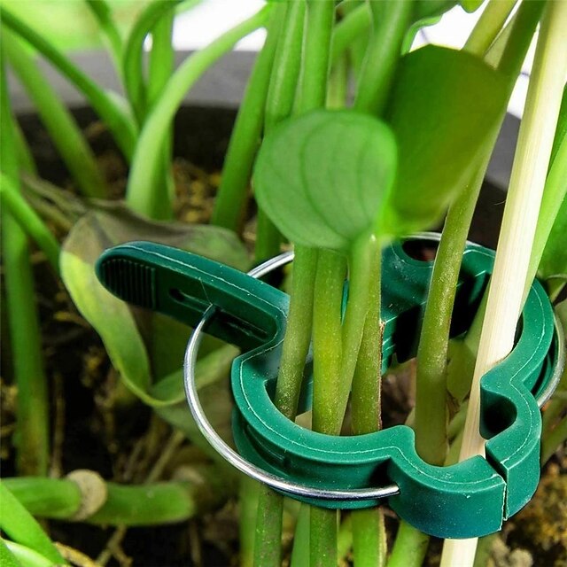 20pcs Plant Support Clips Flower and Vine Garden Tomato Plant Support Clips for Supporting Stems
