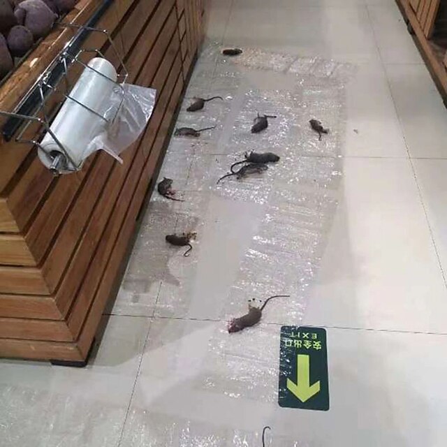 Sticky Rat Blanket, Transparent Super Glue Rat Killing Magic Blanket, Large Size Mouse Sticker