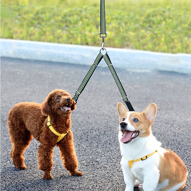  Walk & Train Your Small & Medium Dogs Easily with This Reflective Double Dog Leash