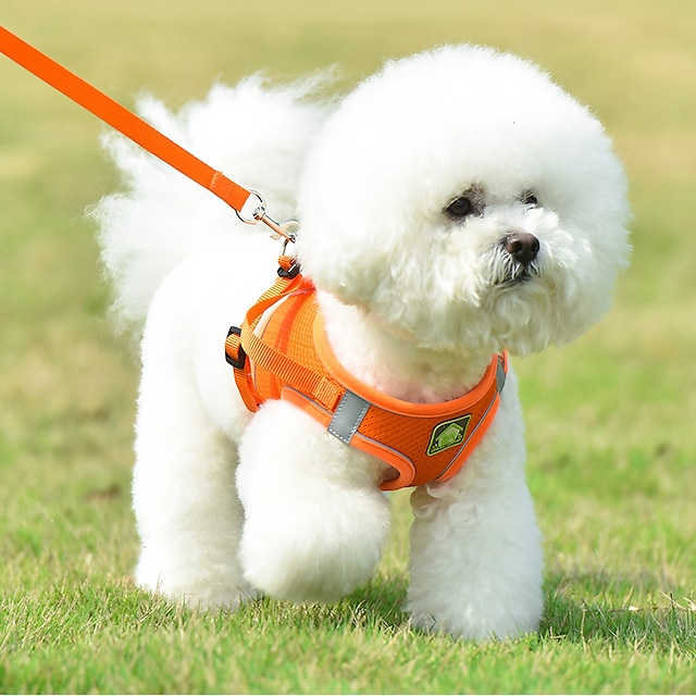  conjunto de arnés para mascotas estilo chaleco correa para perro reflectante transpirable correa para perro adecuada para pequeños & perros medianos