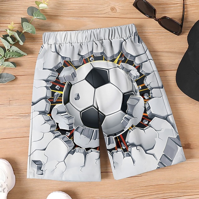  Boys 3D Graphic Shorts Summer Spring Active Streetwear 3D Print Polyester Kids 3-12 Years Outdoor Street Sport Regular Fit