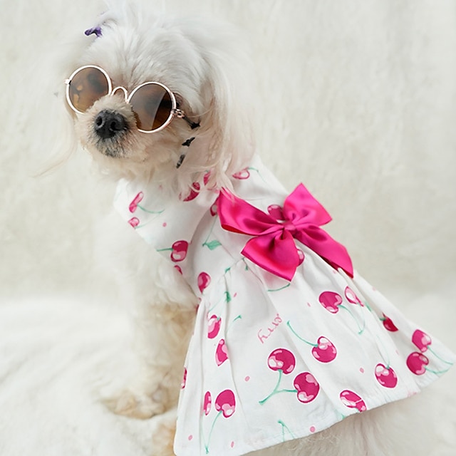  Cachorros Gatos Vestidos Moda Estilo bonito Prova-de-Água Respirável Macio Lavável Confortável Ao ar livre Casual / Diário Roupas para cães for Bichon Frise Pomerânia Animais de Pequeno Porte