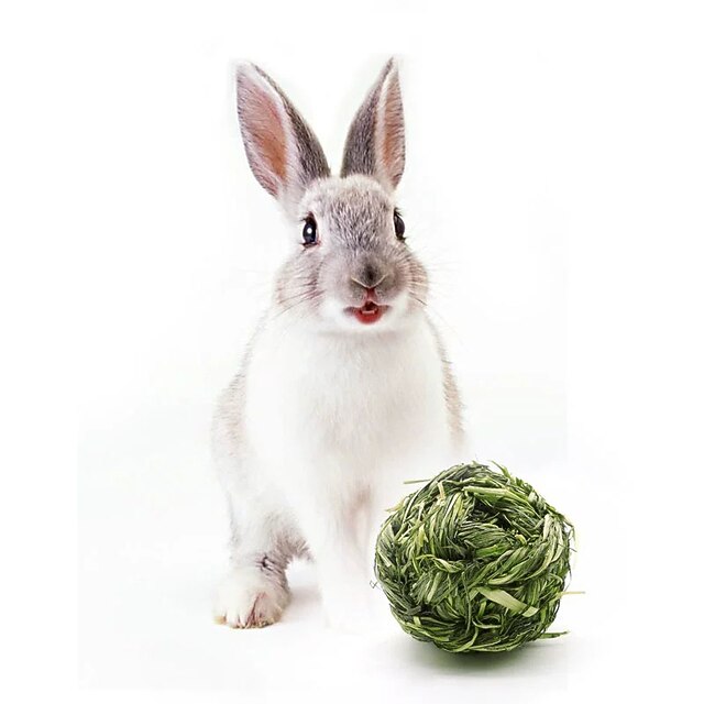 Harda Timothy Grass Ball Pet Chew Toy Ball Chinchilla Rabbit Dutch Pig