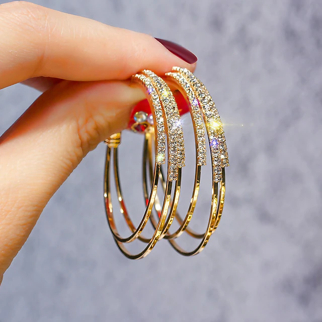 1 Pair Hoop Earrings For Women's Birthday Party Evening Gift Alloy Classic Fashion 6