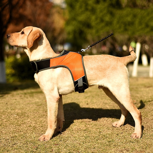  grenseoverskridende ny k-type lysende led bærestropp kjæledyr hundekiste bærestropp kjæledyrrekvisita for store og mellomstore hunder for nattreiser