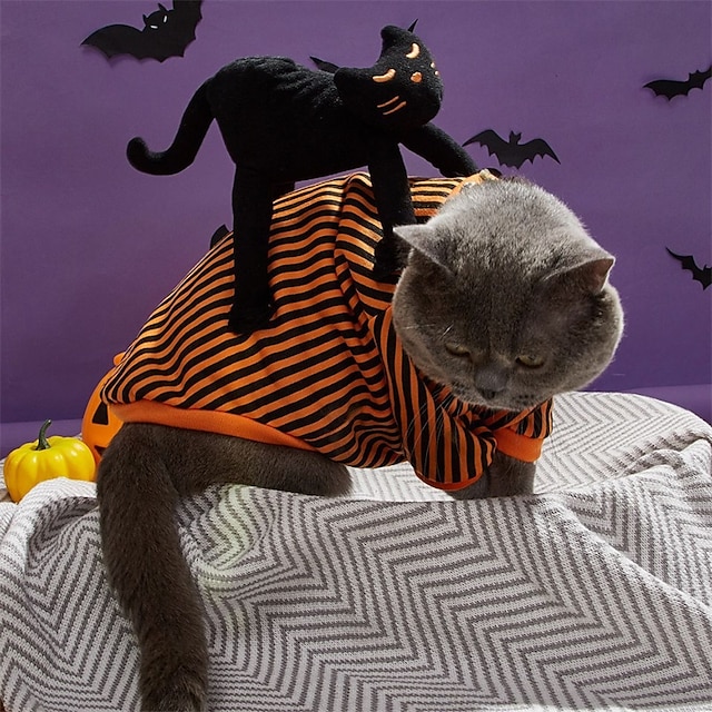  kostiumy na halloween dla kota pies i kot halloween z transformacją kota spersonalizowana i zabawna odzież dla zwierząt top dla zwierząt