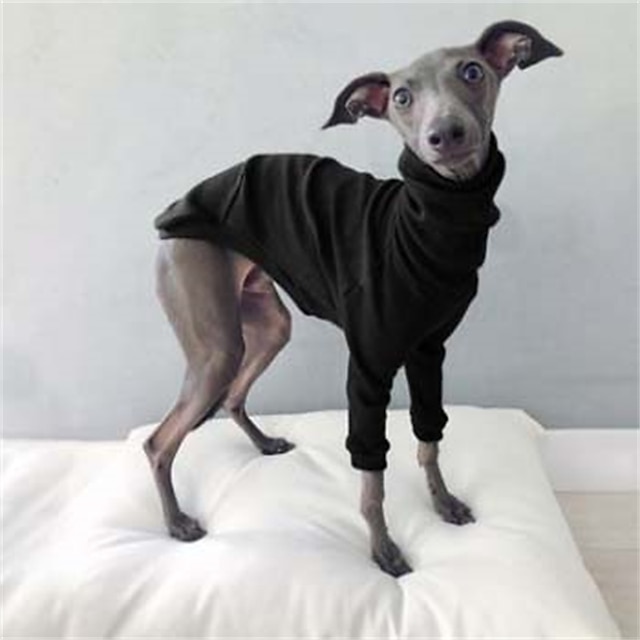  Câini Pisici Tricou Modă Drăguţ Respirabil Απαλό Lavabil Comfortabil În aer liber Casul / Zilnic Îmbrăcăminte pentru câini for Bichon Frise Pomeran un Animalut Fluture Small