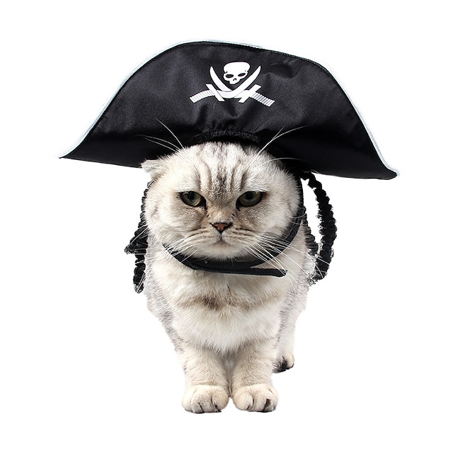  Hunde Katte Bandana Og Hat Til Hund Cosplay Cosplay Sjov Vinter Blød Vaskbar Bekvem Halloween udendørs Halloween Afslappet / Hverdag Hundetøj for Bichon Frisé Pommeraner små kæledyr Sommerfugl Small