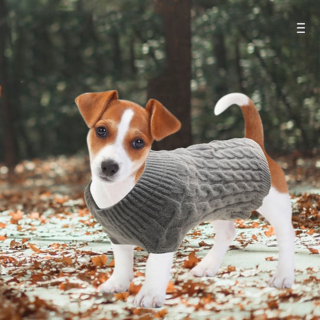  Pull pour chien pour l'automne et l'hiver vêtements pour animaux de compagnie pâte frite torsades pull à tricoter transfrontalier décontracté chaud chien vêtements