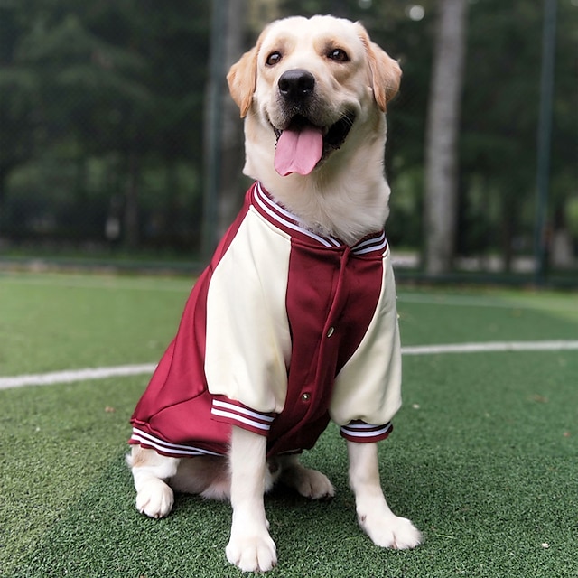  baseballový oblek oblečení pro domácí mazlíčky střední až velký pes zlatá kožešina oblečení pro psy labrador podzim a zima oblečení tlusté 2023 nové