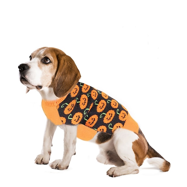  halloween koiran villapaidat lemmikit syksyn ja talven asut koiran vaatteet pienet koirat nallepiirrokset hymyilevät kasvot lemmikkikissat kurpitsa neuleet