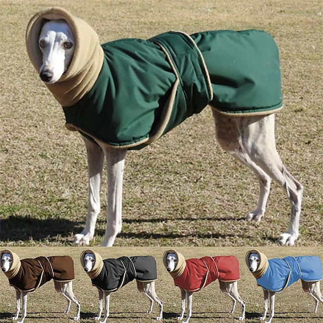 kutyaruha őszi-téli új kisállat meleg vastag, magas nyakú pamut párnázott öltöny színes varázstapasz könnyen hordható és levehető kutyaruha