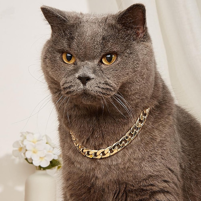  collar de mascota collar de gato lindo collar de perro de tendencia original