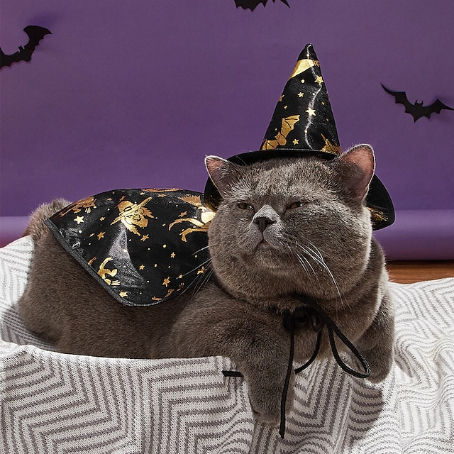  katt halloween kostymer halloween heks kappe hund hund katt kjæledyr kappe sett ferie dressing transformasjon klær